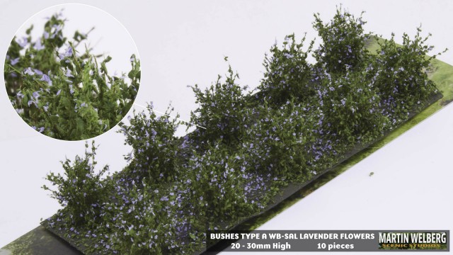 Bushes type A Lavender – package 10 pcs.