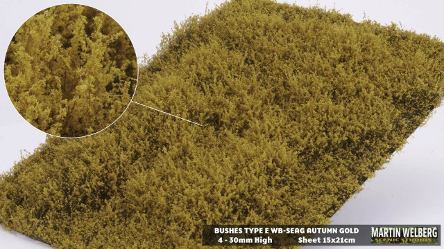 Bushes type E Autumn Gold  – package 21x15