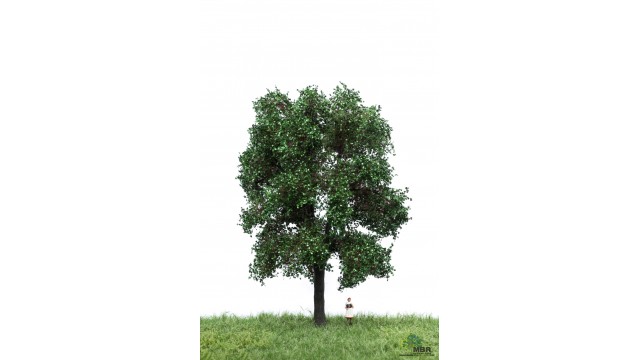Kastanjeboom, 18-22 cm, geschikt voor H0