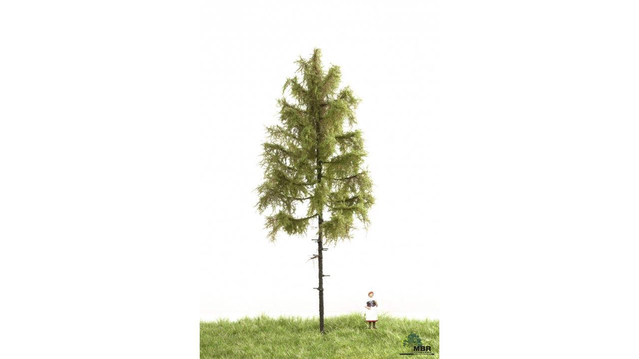 Bos lariks, 18-22 cm, geschikt voor H0